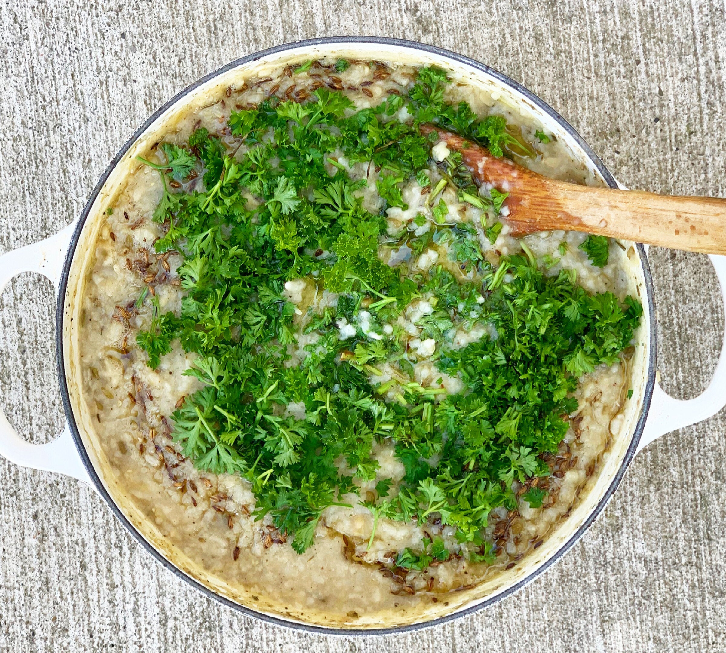 Spring Khichri – india1948 Spring Khichri – india1948