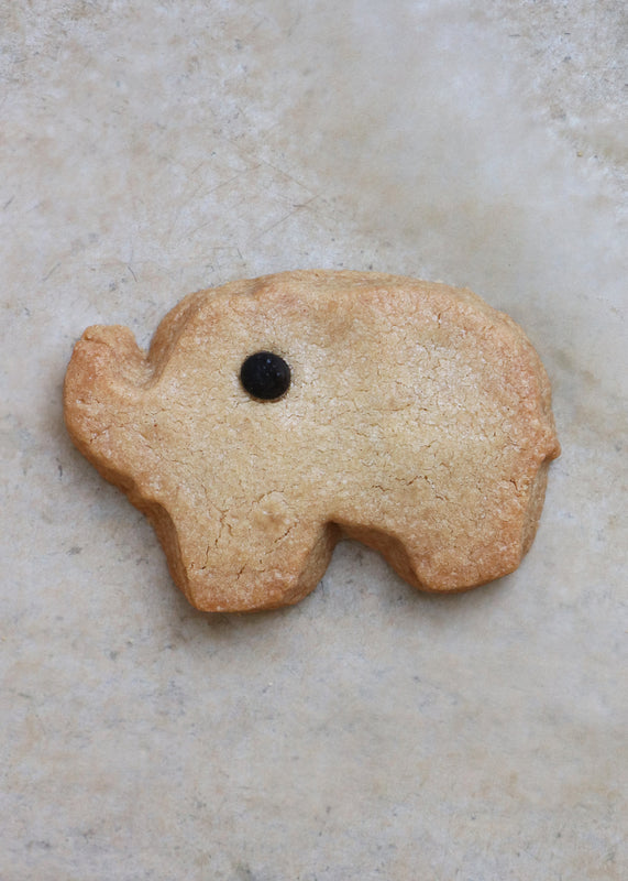 Elephant Cookie